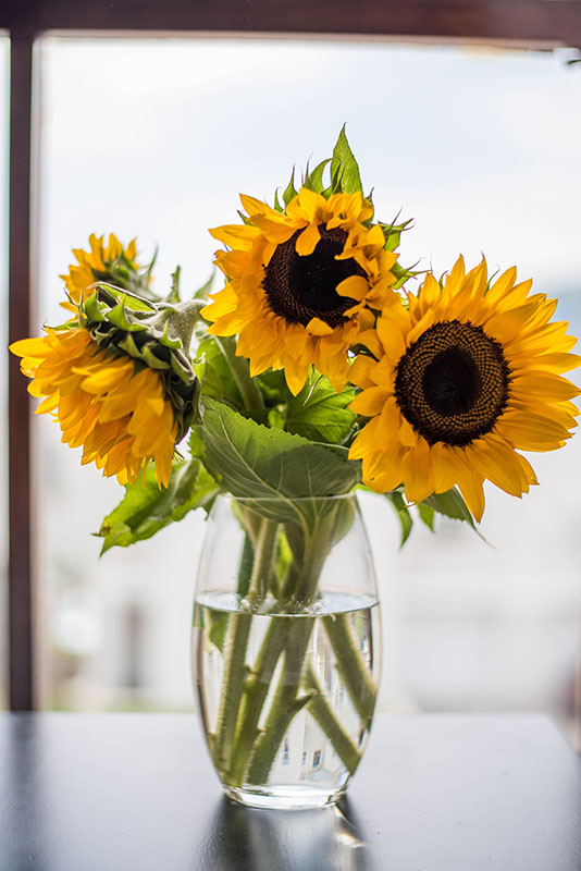 bureau tournesol